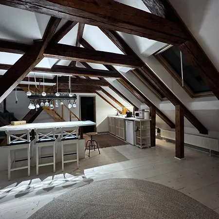 Belle Vista Loft * Brasov