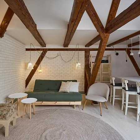Apartment Belle Vista Loft Brasov